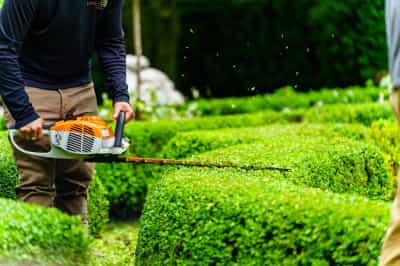 Season-Long Landscaping Services