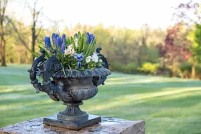 Plan Your Seasonal Color Program