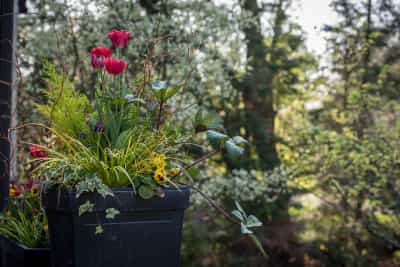 Plan Your Spring Display