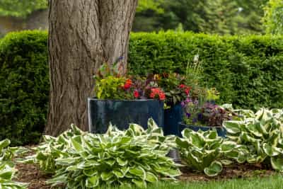 Maintenance for Peak Performance