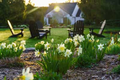 Plan Your Spring Bulb Display