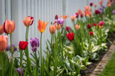 Professional Installation